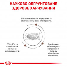 Royal Canin Gastrointestinal Low Fat (Роял Канин Гастроинтестинал Лов Фэт) корм для собак для пищеварения