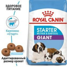 Royal Canin Giant Starter (Рояв Канін Джаїнт Стартер Мазер & Бебідог) корм для вагітних гігантських собак 1 кг.