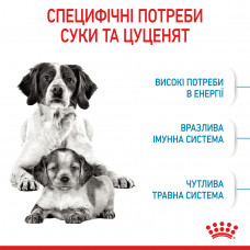 Royal Canin Medium Starter (Рояв Канін Медіум Стартер Мазер Бебідог) корм для вагітних собак 11-25 кг 1 кг.