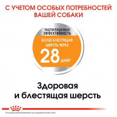 Royal Canin Mini Coat Care (Рояв Канін Міні Коат Кер) сухий корм для собак до 10 кілограмів з грубою вовною 1 кг.