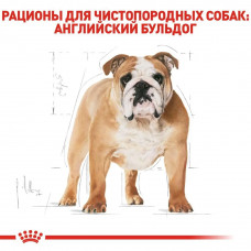 Royal Canin Bulldog Adult (Роял Канін Бульдог Едалт) сухий корм для англійських бульдогів від 12 місяців 12 кг