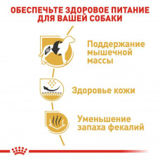 Royal Canin French Bulldog Adult (Рояв Канін Френч Бульдог Едалт) корм для французьких бульдогов від 12 місяців 9 кг.