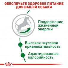 Royal Canin Mini Adult 8+ (Роял Канін Міні Едалт 8+) сухий корм для маленьких собак 4-10 кг від 8 років