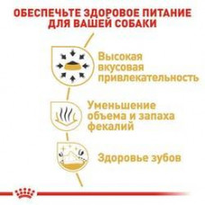 Royal Canin Chhuahua Adult (Рояв Канін Чіхуахуа Едалт) сухий корм для собак чіхуахуа від 8 місяців 1.5 кг.