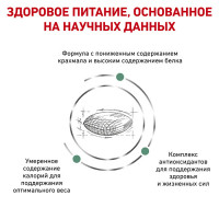 Royal Canin Diabetic (Роял Канин Диабетик) сухой корм для собак при сахарном диабете 1.5 кг.