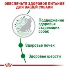 Royal Canin Mini Ageing 12+ (Рояв Канін Міні Ейджінг 12+) сухий корм для маленьких собак до 10 кілограмів від 12 років 1.5 кг.