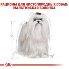Royal Canin Maltese Adult (Роял Канін Мальтиз Едалт) сухий корм для собак мальтійська болонка від 10 місяців