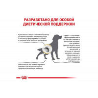 Royal Canin Urinary S/O Moderate Calorie (Роял Канін Уринарі СО Модерет Келорі) собачий корм для сечових шляхів