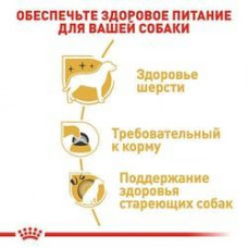 Royal Canin Yorkshire Terrier Adult (Рояв Канин Йоркшир Тер'єр Едалт) корм для йоркширських тер'єрів від 10 міс 3 кг.