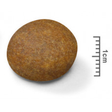 Royal Canin Maxi Adult 5+ (Рояв Канін Максі Едалт 5+) сухий корм для собак великих порід від п'яти років 15 кілограмів.