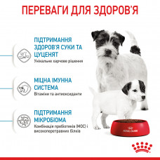 Royal Canin Mini Starter (Рояв Канін Міні Стартер Мазер Бебідог) корм для вагітних і годують собак до 10 кілограмів 1 кілограм.