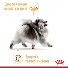 Royal Canin Pomeranian Adult (Роял Канін Поміраніан Едалт) корм для дорослих собак помірський шпіц із птицею