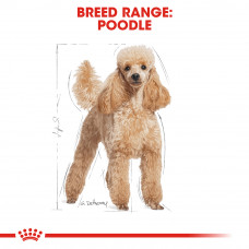Royal Canin Poodle Adult (Роя Канін Пудель Едалт) сухий корм для дорослих собак пудель від 10 місяців 1.5 кг.