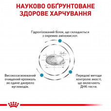Royal Canin Skin Care (Рояв Канін Скін Кер) сухий корм для собак при дерматозах і випадання вовни 2 кг.