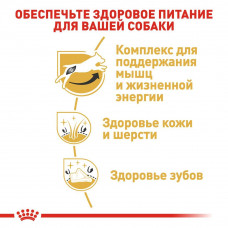 Royal Canin Jack Russel Adult (Рояв Канін Джек Рассел Едалт) корм для собак джек-сел-тер'єр від 10 місяців 1.5 кг.