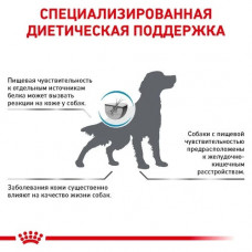 Royal Canin Skin Care (Рояв Канін Скін Кер) сухий корм для собак при дерматозах і випадання вовни 2 кг.