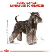 Ryal Canin Miniature Schnauzer Adult (Рояв Канін Мініатюр Шнауцер Едалт) корм для цвергш̣ауцерів від 10 міс 3 кг.