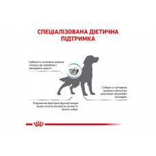 Роуал Canin Skin Support (Рояв Канін Скін Супорт) сухий корм для собак при дерматозах і випадання вовни 2 кг.