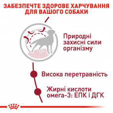 Royal Canin Medium Adult 7+ (Рояв Кенін Медіум Едалт 7+) сухий корм для собак середніх порід від 7 років 4 кг.