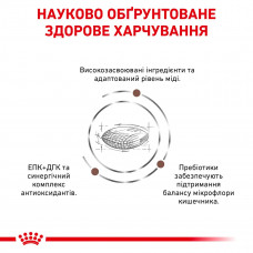 Royal Canin Hepatic (Роял Канин Гепатик) сухой корм для собак при заболеваниях печени