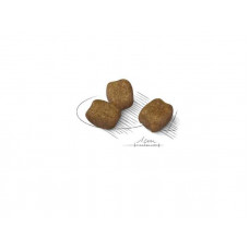 Royal Canin Mini Dental Care (Роял Канін Міні Дентал Кер) сухий корм для собак до 10 кг від зубного каменю