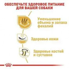 Royal Canin Bulldog Adult (Роял Канін Бульдог Едалт) сухий корм для англійських бульдогів від 12 місяців 12 кг