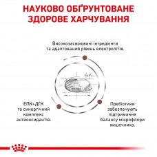 Royal Canin Gastrointestinal (Роял Канин Гастро-Интестинал) сухой корм для собак при расстройствах пищеварения
