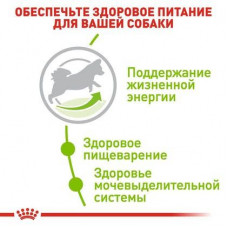 Royal Canin X-Small Adult 8+ (Рояв Канін Ікс-Смол Едалт 8+) сухий корм для мініатюрних собак до 4 кілограмів від 8 років 1,5 кг.