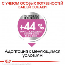 Royal Canin Mini Relax Care (Роял Канін Міні Релакс Кер) сухий корм для собак до 10 кг у разі стресів
