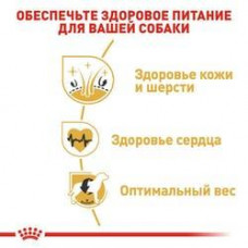 Royal Canin Golden Retriever Adult (Роя Кані Ґольден Ретрівер Едалт) корм для дорослого золотистого ретривера 3 кг.