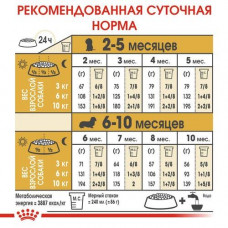 Royal Canin Dachshund Puppy (Роял Канін Такса Паппі) сухий корм для цуценят