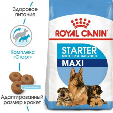Royal Canin Maxi Starter (Рояв Канін Максі Стартер Мазер Бебідог) корм для великих вагітних і кормових собак 4 кг.