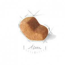 Royal Canin Shih Tzu Adult (Роял Канін Ши-тцу Едалт) сухий корм для собак породи ши-тцу від 10 місяців