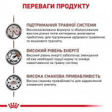 Royal Canin Gastrointestinal (Роял Канин Гастро-Интестинал) сухой корм для собак при расстройствах пищеварения