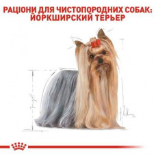 Royal Canin Yorkshire Terrier Adult (Рояв Канин Йоркшир Тер'єр Едалт) корм для йоркширських тер'єрів від 10 міс 3 кг.