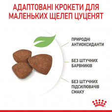Роуал Canin Mini Puppy (Рояв Канін Міні Паппі) сухий корм для цуценят маленьких порід 4 кілограмів.