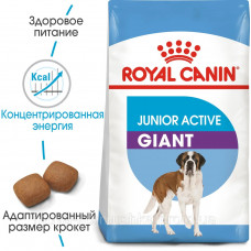 Royal Canin Giant Junior Active (Рояв Канін Джаїнт Джуніор Ектив) корм для щенків гігантських порід від 8 міс 15 кілограмів.