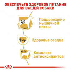 Royal Canin Boxer Adult (Рояв Канін Боксер Едалт) сухий корм для собак породи боксер від 15 місяців 12 кілограмів.