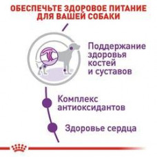 Royal Canin Giant Adult (Рояв Канін Джаїнт Едалт) сухий корм для дорослих собак гігантських порід 15 кілограмів.