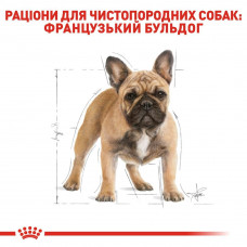 Royal Canin French Bulldog Adult (Рояв Канін Френч Бульдог Едалт) корм для французьких бульдогов від 12 місяців 9 кг.