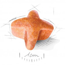 Royal Canin German Sheperd Ageing 5+ (Рояв Канін Джерман Шеперд 5+) сухий корм для німецької вівчарки від 5 років 12 кілограмів.