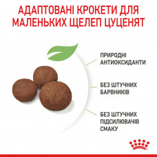 Royal Canin Medium Puppy (Рояв Канін Медіум Паппі) сухий корм для цуценят середніх порід 15 кг.