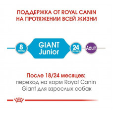 Royal Canin Giant Junior Active (Рояв Канін Джаїнт Джуніор Ектив) корм для щенків гігантських порід від 8 міс 15 кілограмів.
