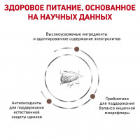 Royal Canin Gastrointestinal Puppy (Роял Канін Гастроінтестинал Паппі) корм для цуценят для системи травлення 1 кг.