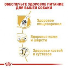 Royal Canin German Sheperd Adult (Рояв Канін Джерман Шеперд Едалт) сухий корм для дорослої німецької вівчарки 11 кілограмів.