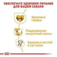 Роуал Canin Rottweiler Adult (Рояв Канін Ротвейлер Едалт) сухий корм для собак порода ротвейлер від 18 місяців 12 кг.