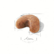 Royal Canin French Bulldog Puppy (Рояв Канін Французький бульдоґ Паппі) сухий корм для цуценят 1 кг.