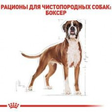 Royal Canin Boxer Adult (Рояв Канін Боксер Едалт) сухий корм для собак породи боксер від 15 місяців 12 кілограмів.