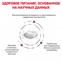 Royal Canin Gastrointestinal Low Fat (Роял Канин Гастроинтестинал Лов Фэт) корм для собак для пищеварения