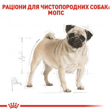 Royal Canin Pug Adult (Роял Канін Паг Едалт) сухий корм для дорослих собак породи мопс від 10 місяців